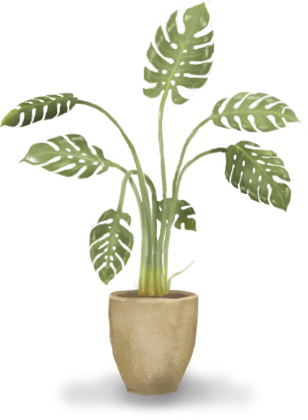 Plant